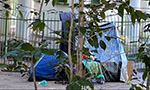 A white-walled building, a green metal railing, homeless people's tents, and a tree in front.
