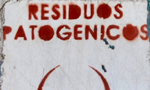 Antropologia da Biossegurança apresenta debate sobre emergências sanitárias e ambientais como doenças vetoriais, epidemias e pandemia