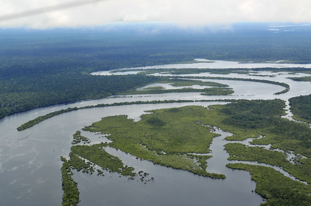 Vista aérea da Floresta Amazônica, perto de Manaus, capital do estado brasileiro do Amazonas.