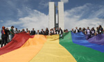 Grupo de pessoas segurando a bandeira LGBT em frente ao Congresso Nacional.