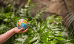 Fotografia da mão de uma criança segurando um globo terrestre. Ao fundo da imagem há algumas plantas, que estão desfocadas.