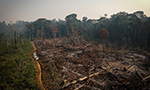 Vista aérea de uma área de floresta desmatada e queimada na zona rural do município de Apuí, Amazonas.