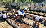 Fotografia de várias crianças de uniforme escolar plantando em uma horta pedagógica.